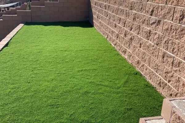Lawn Maintenance