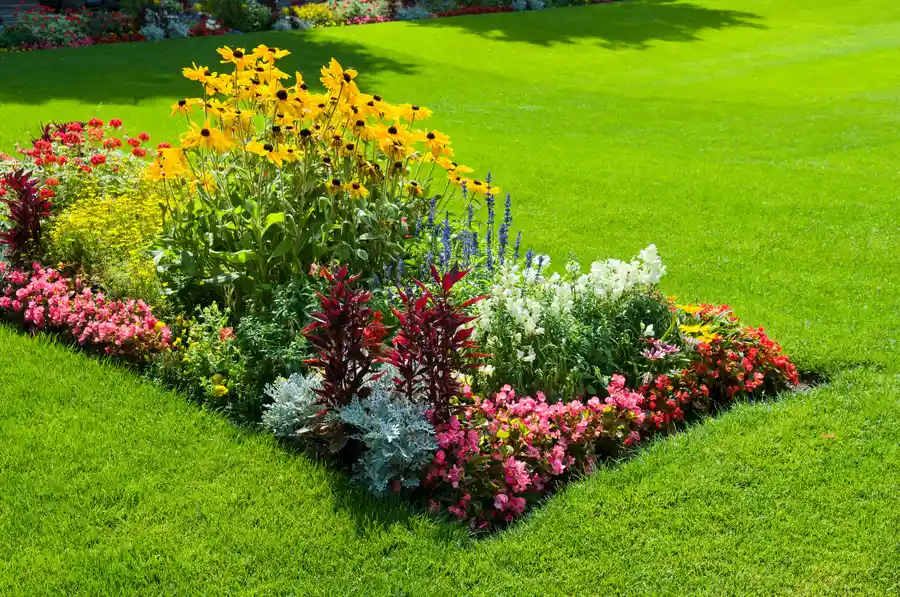 How Landscape Design Services Help Maintain Long-term Yard Health Albuquerque, NM How Landscape Design Services Help Maintain Long-term Yard Health Albuquerque, NM