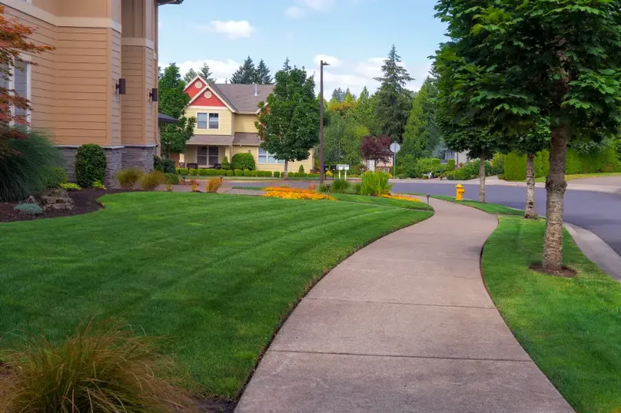 How Professional Lawn Maintenance Saves Time And Effort in Albuquerque, NM