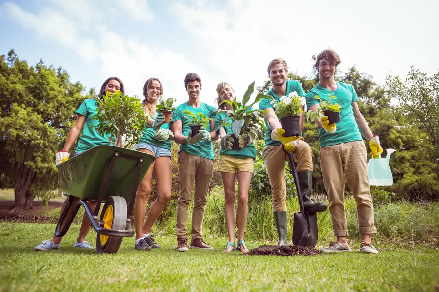 How Tree Planting Services Improve Your Landscape Health Albuquerque, NM How Tree Planting Services Improve Your Landscape Health Albuquerque, NM