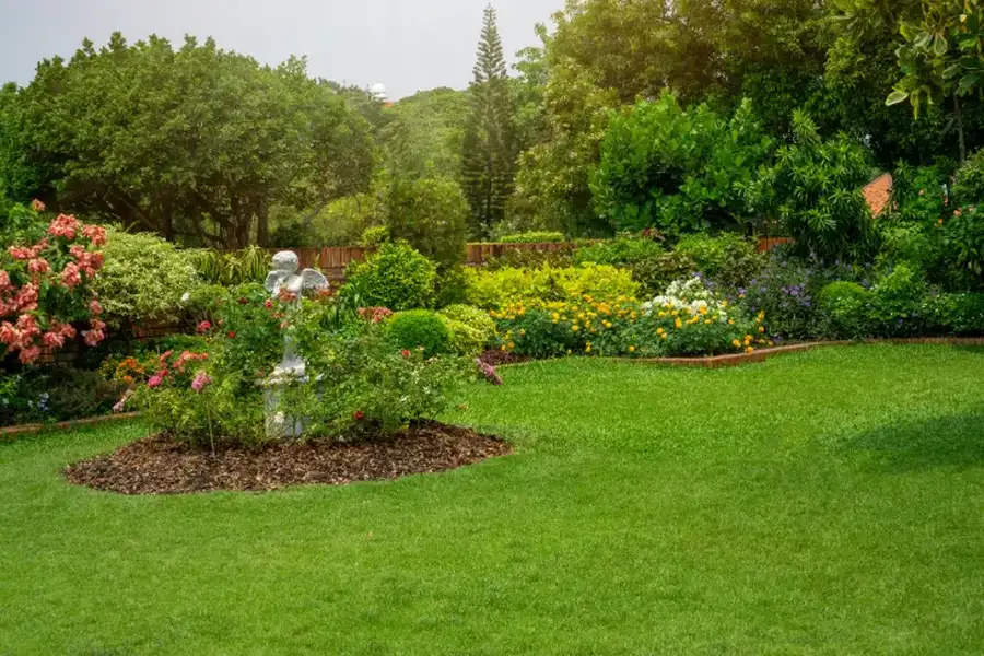 Key Steps To Keep Your Lawn Lush And Green Year-round in Albuquerque, NM
