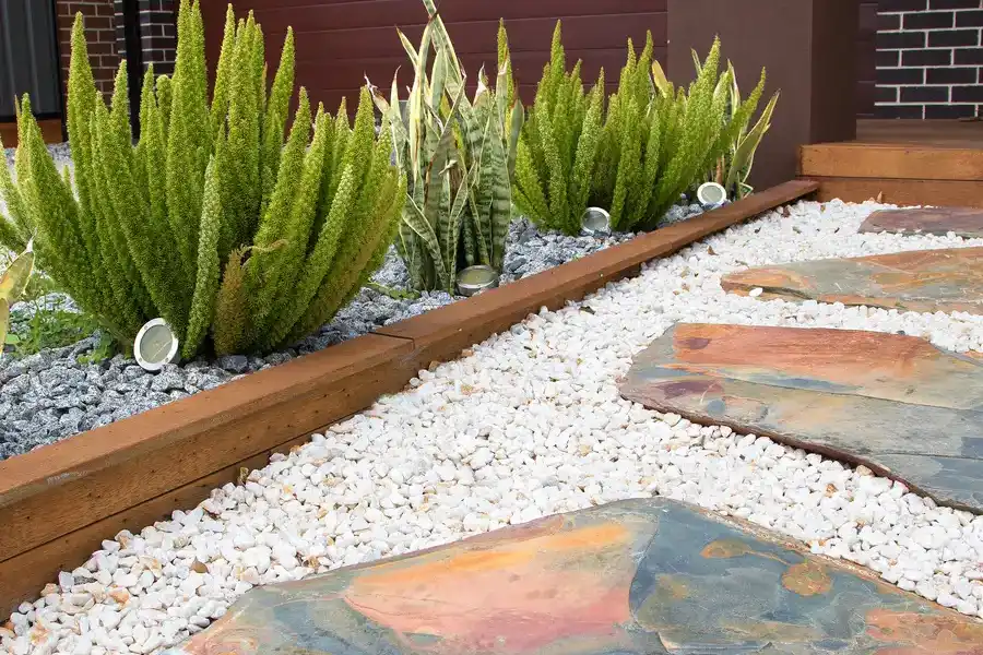 Premium Landscape Design Services Albuquerque, NM