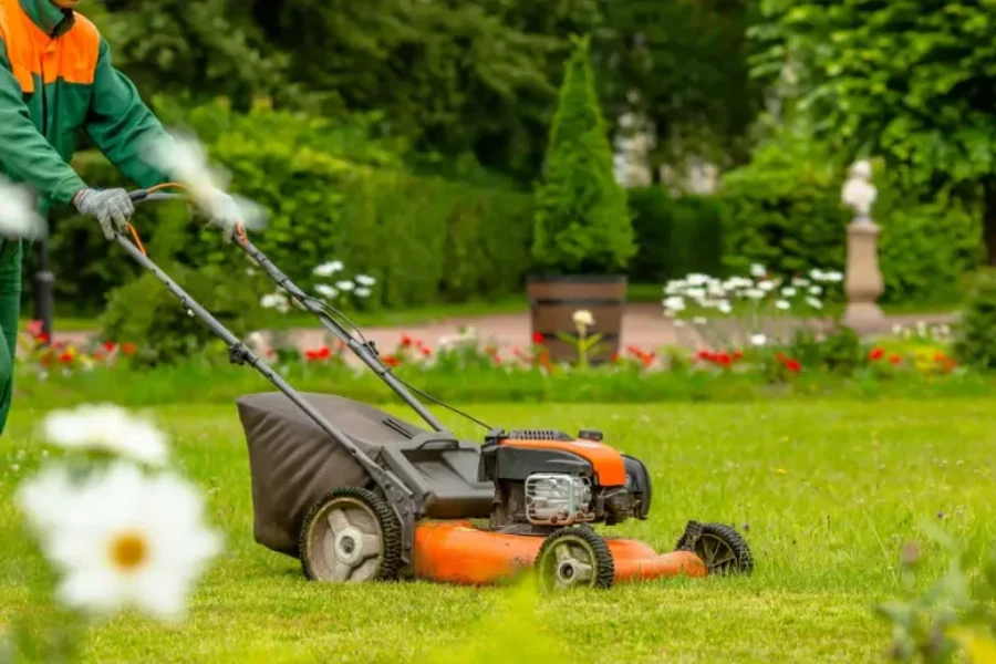 Reliable Lawn Maintenance Albuquerque, NM